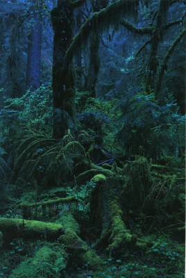 Yoshihiko Ueda - QUINAULT, Photography | Art Limited