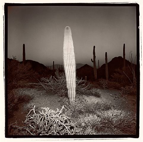 RICHARD MISRACH : Night Photographs 1975-1977 | Art Limited