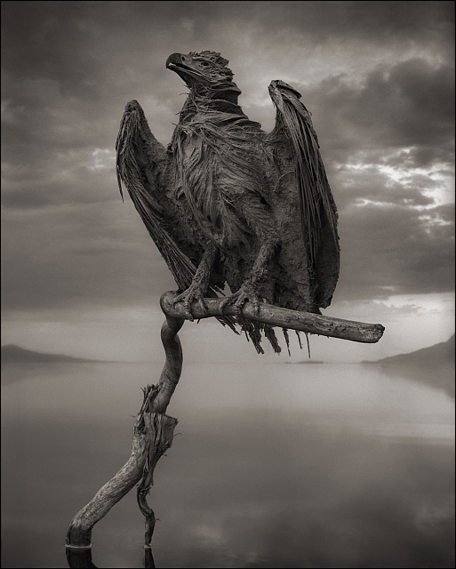 Nick Brandt, On This Earth A Shadow Falls Across The Ravaged Land