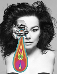 Inez & Vinoodh, Pretty Much Everything 2015, Photography
