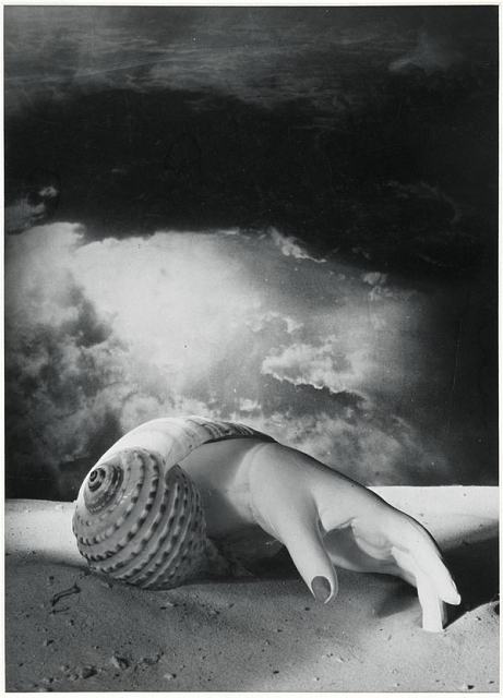 - Dora Maar Untitled (Hand-Shell) 1934 © Estate of Dora Maar / DACS 2019, All Rights Reserved