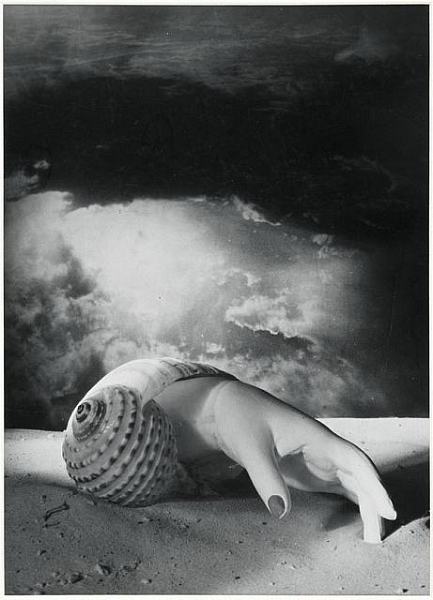 Preview thumbnail for artwork Dora Maar Untitled (Hand-Shell) 1934 © Estate of Dora Maar / DACS 2019, All Rights Reserved
