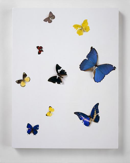Damien Hirst Butterfly Paintings