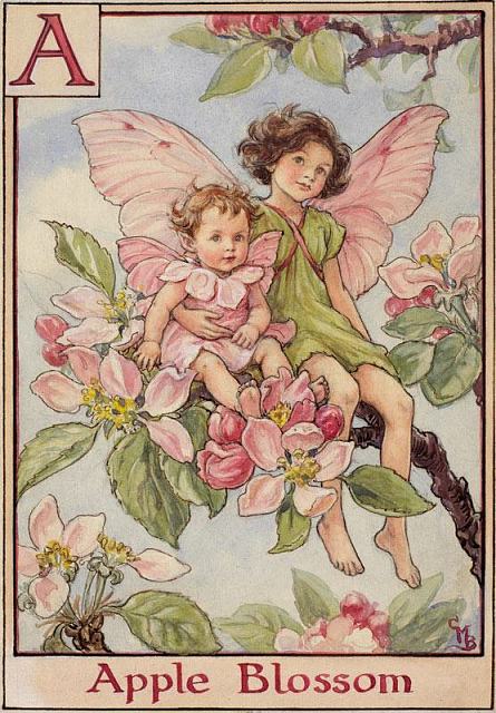 Cicely Mary Barker　FLOWER・FAIRIES フィギュリン Cicely Mary Barker, Flower Fairies, Dessin, Lady Lever Art Gallery