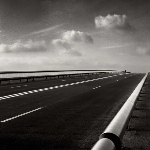 Simone-Veil Bridge by Denis Olivier in Photography Medium-format film