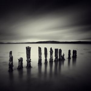 Divers by Constance Gatbois