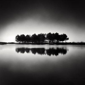 002 by Alexandru Crisan