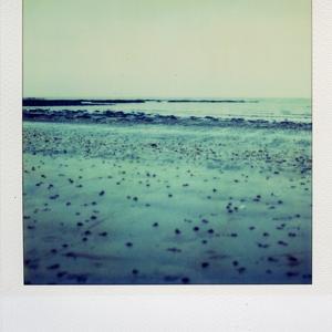 Miscellaneous by Elinor A Scott