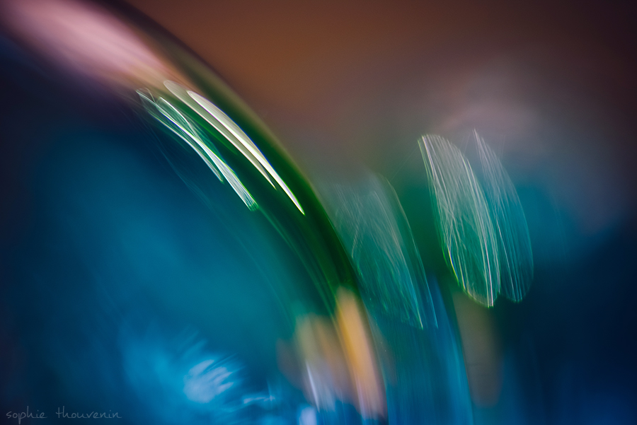 Aurora Borealis By Sophie Thouvenin Photography Art Limited