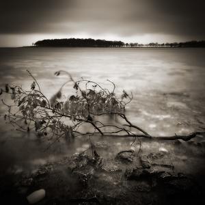 Miscellaneous1 par ShadowZen
