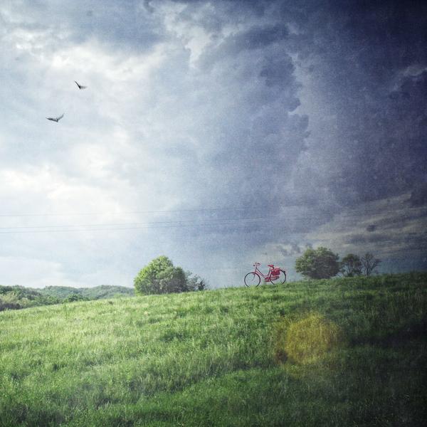 Red by Marko Beslac in Photography Digital