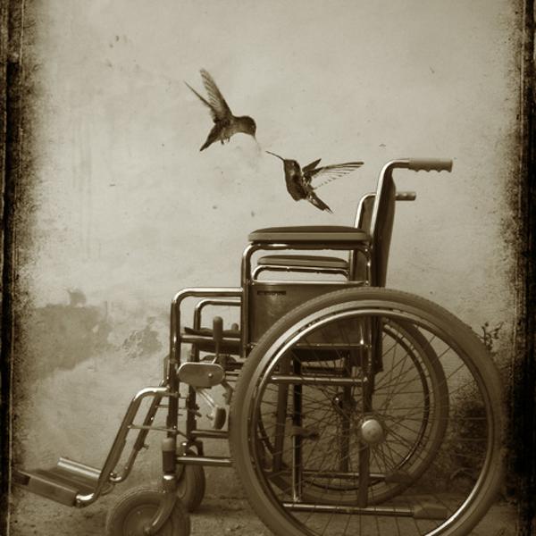 Moving Free by Marko Beslac in Photography Digital