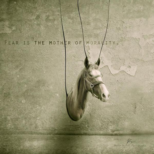 Fear Is The Mother by Marko Beslac