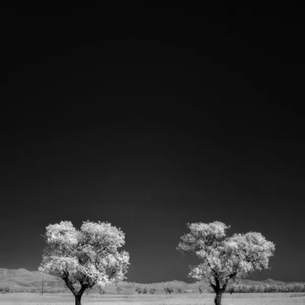 Mates by Marco Marongiu in Photography