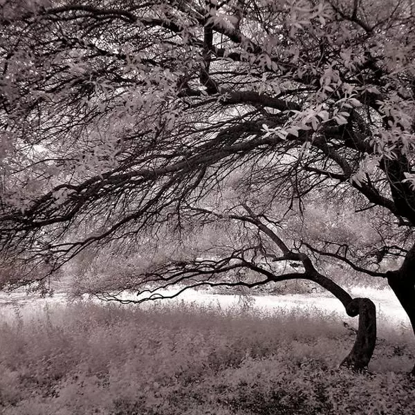 Where the wind blows par Marco Marongiu dans Photographie