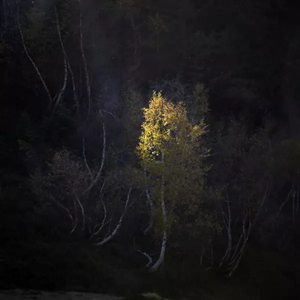 Last ray par Bruno Blais dans Photographie Numérique