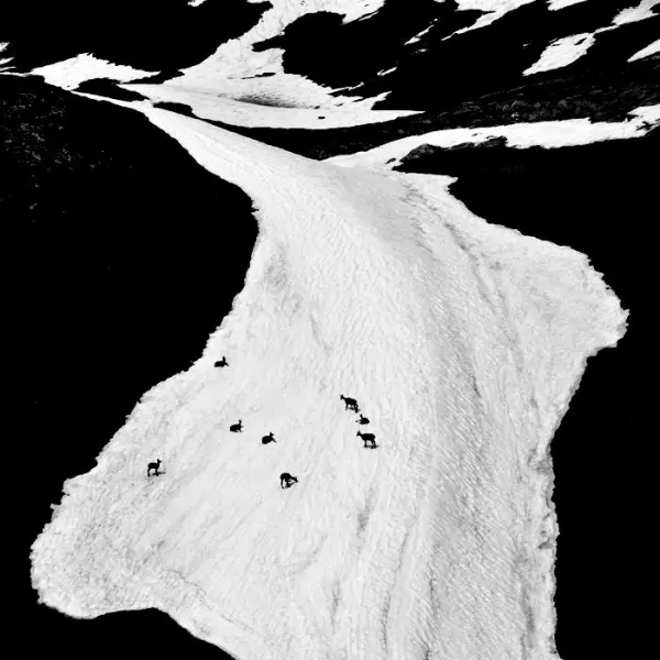 Together by Bruno Blais in Photography Digital