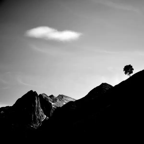 My loneliness like a poem by Bruno Blais