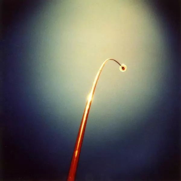 Untitled by Jan Stowell in Photography Medium-format film