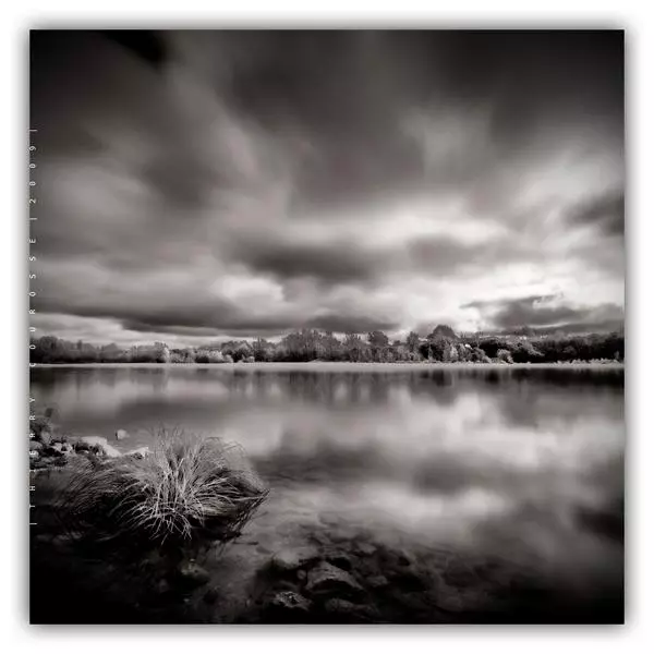 Grey nature par Thierry Courossé dans Photographie Numérique