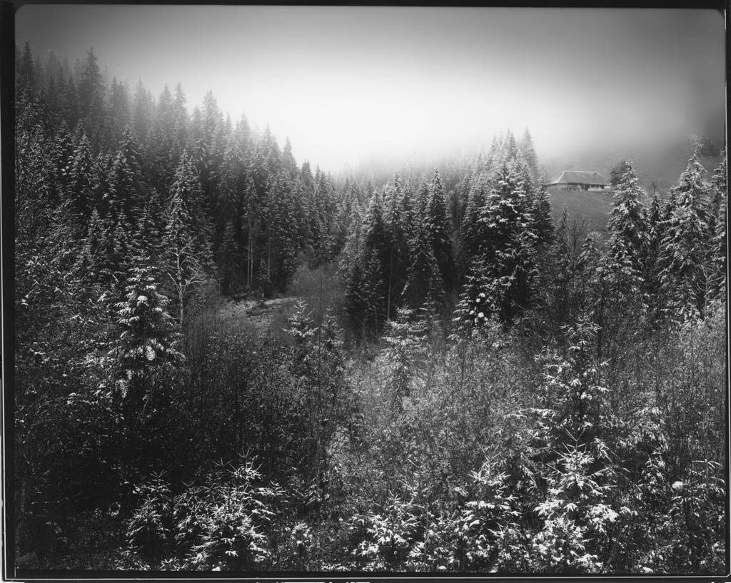 Prealpes Suisse By Patrick Caloz Photography Large Format Film