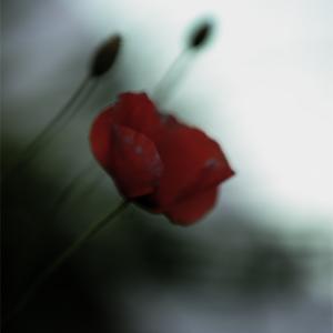 Couleur par Claude Bour