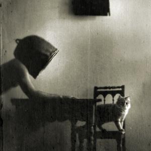 4 Mosche di Velluto Grigio by Roberto De Mitri