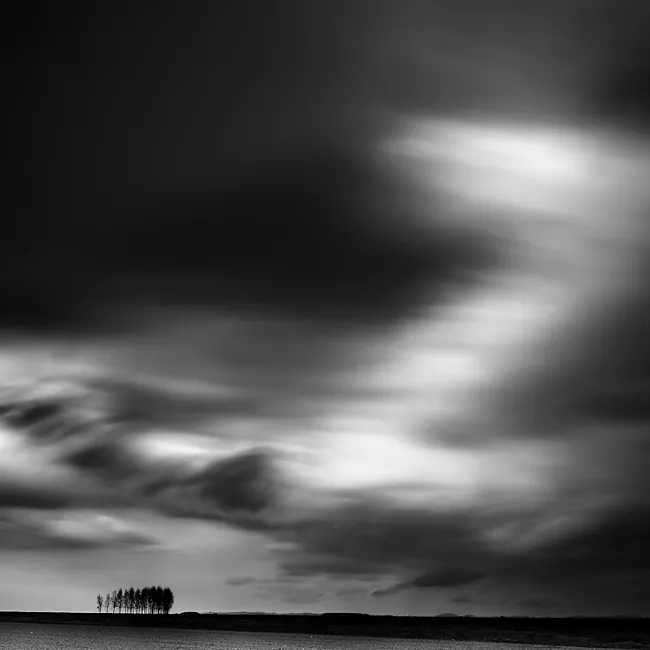 Poplars is a creation by the artist Dino Lupani. Category Nature, Landscape, Countryside, Classic, Naturalism, Photography, Digital. canon 40d BW ND110. long exposure. 6 distinctions, 7K views, 119 appreciations, 5 comments, 11 favourites.