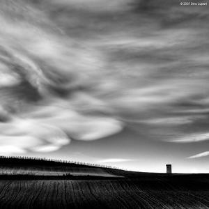 Portfolio 93 artworks