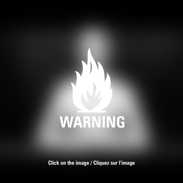 Weronique by Grzegorz <gregor> Adamski