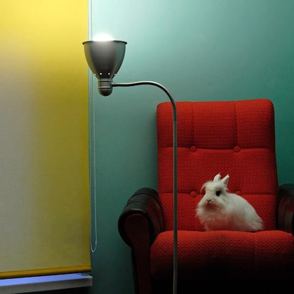 Untitled by Slawek Drozdowski