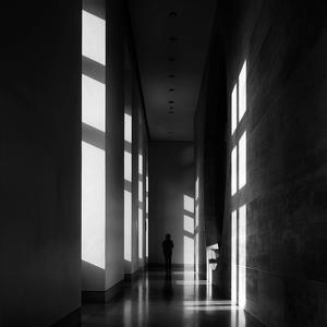 Favourites par Nenad Zivanovic