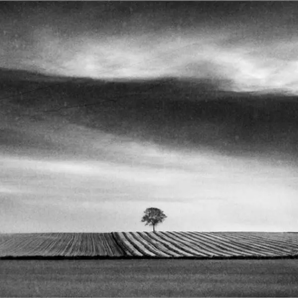 c_3 by Emmanuel Miclo in Photography