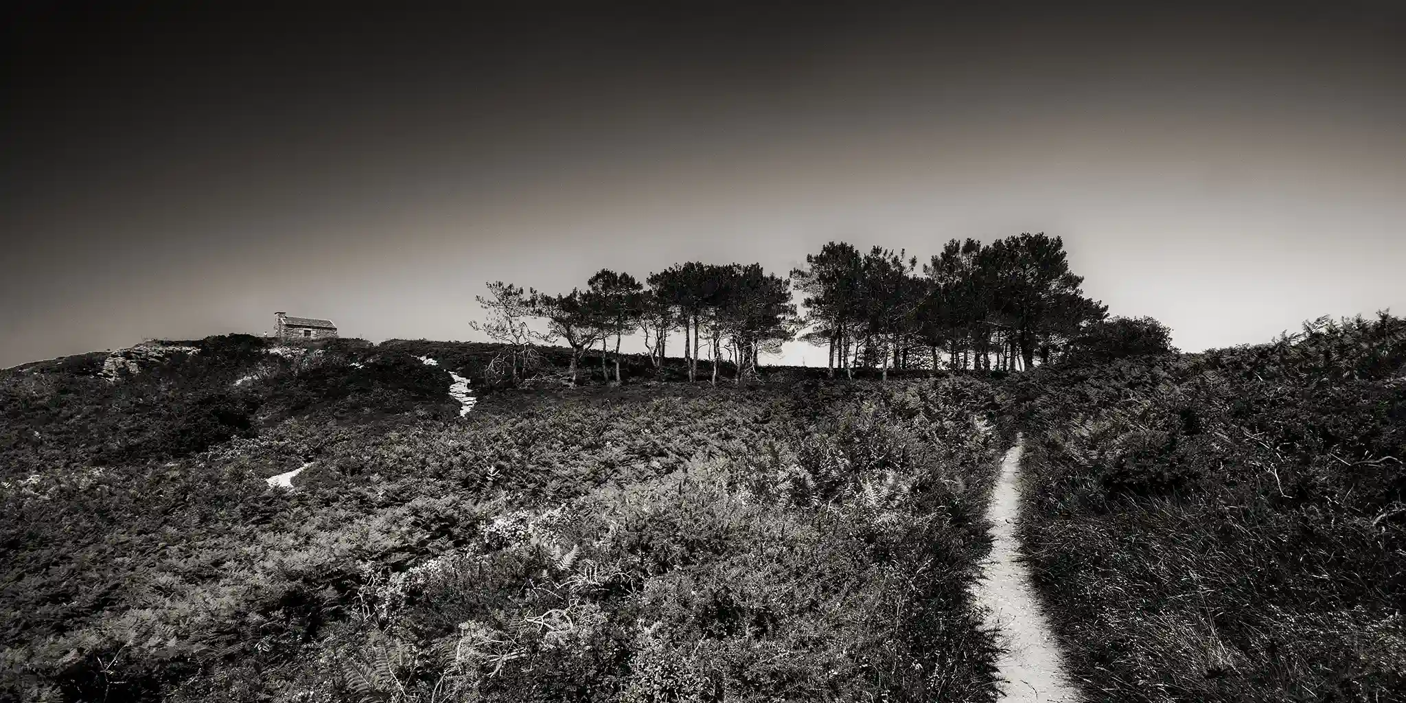 Sur le GR 34 vers le cap D'Erquy (Côtes d'Armor) is a creation by the artist Henri Manguy. Category Nature, Landscape, Photography, Digital. This artwork is for sale. D300s - Photoshop. Photographie. 2 distinctions, 168 views, 41 appreciations, 3 comments,…