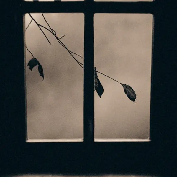 When the Outside Watches Inward by Ebru Sidar in Photography Digital