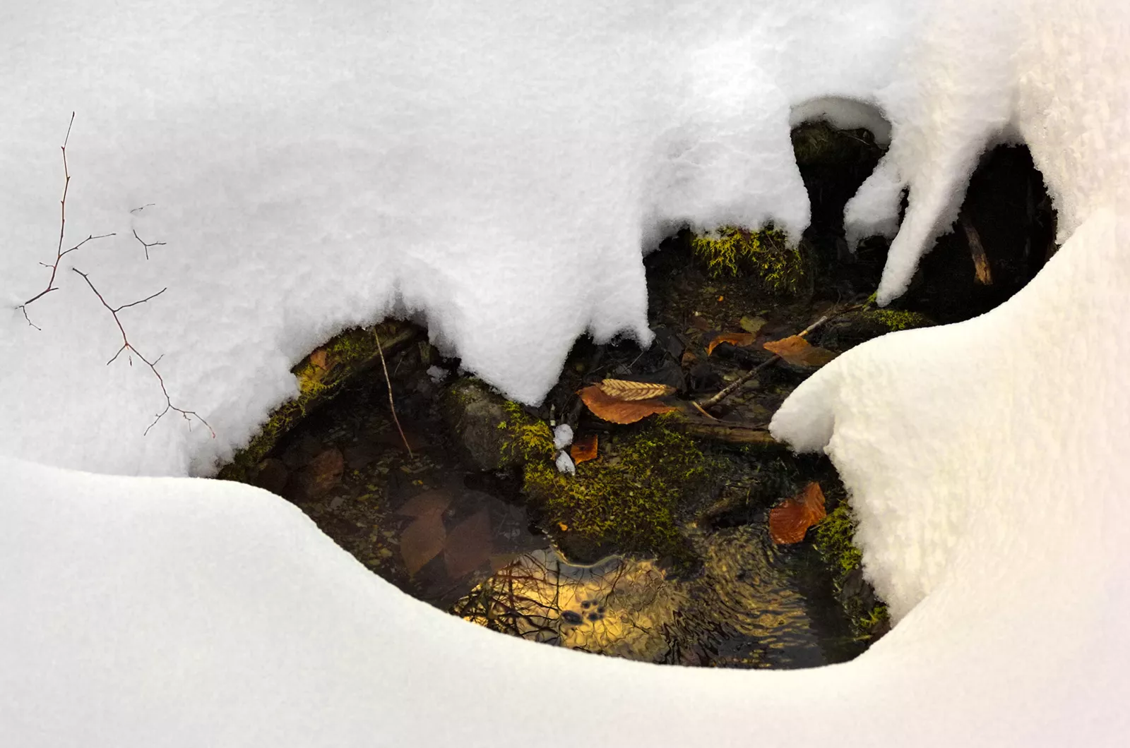 Artesian Well is a creation by the artist Craig Robinson. Category Nature, Landscape, Waterscape, lake, river, Realism, Naturalism, Photography, Digital. Nikon D2Hs. 1 distinction, 1K views, 44 appreciations, 10 comments, 6 favourites.