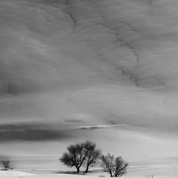 Winter by Bahram Tondran in Photography Digital