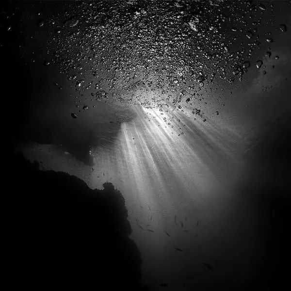 Penetrates par Hengki Koentjoro dans Photographie Numérique