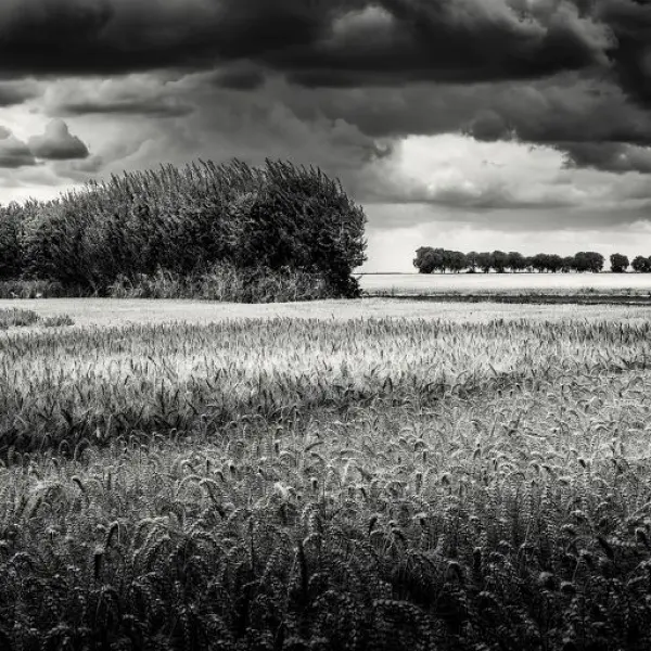 Hymne à la vie II, Vendée, France 2025 par Lionel Hug dans Photographie