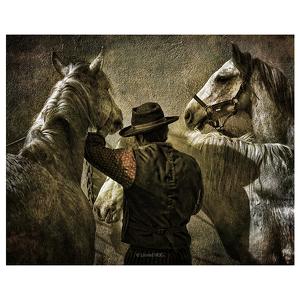 Miscellaneous by CHERY Stephane