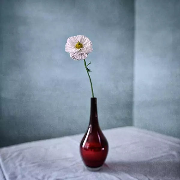 Vase Rouge par Lionel Hug dans Photographie Numérique