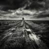 Humanly Transformed Landscapes 851 artworks