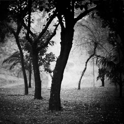 Untitled est une création de l'artiste Mara Mitchell. Catégorie Nature, Végétal, Arbre, forêt, Fine-Art, Photographie, Numérique. 4 distinctions, 13K vues, 78 appréciations, 1 commentaire, 3 favoris, 2 projets de groupe.