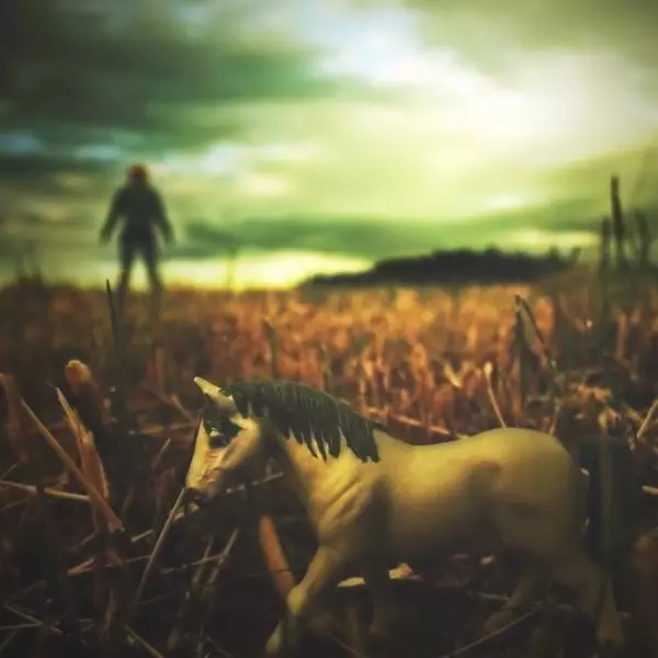 Mr.Horse by Andreas Kauppi in Photography