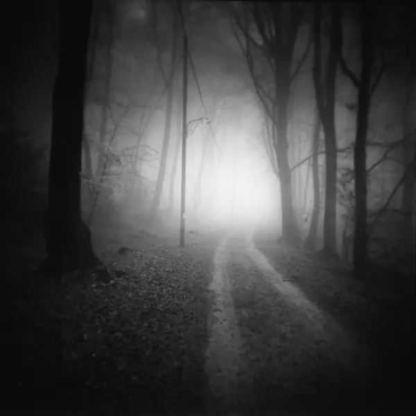 In the woods, haze, mysterious path by Pierre Pellegrini in Photography Medium-format film