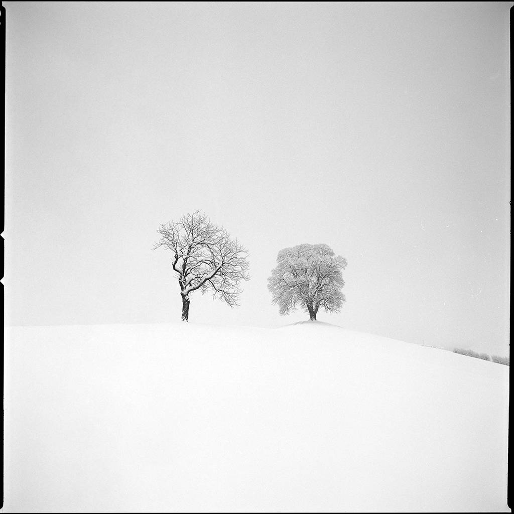 Pleasant tension by Pierre Pellegrini, Photography, Mediumformat film