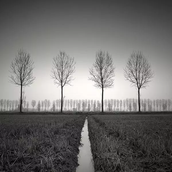 4:2 by Pierre Pellegrini in Photography Medium-format film
