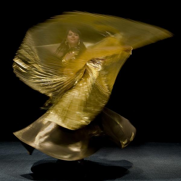 butterfly by jure kravanja in photography