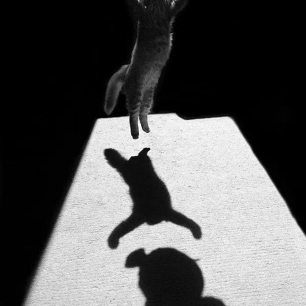 Edgar the Great by Jure Kravanja in Photography Digital