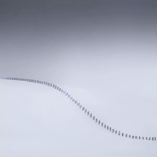 Scar # XXXIII by Lionel Orriols in Photography Digital